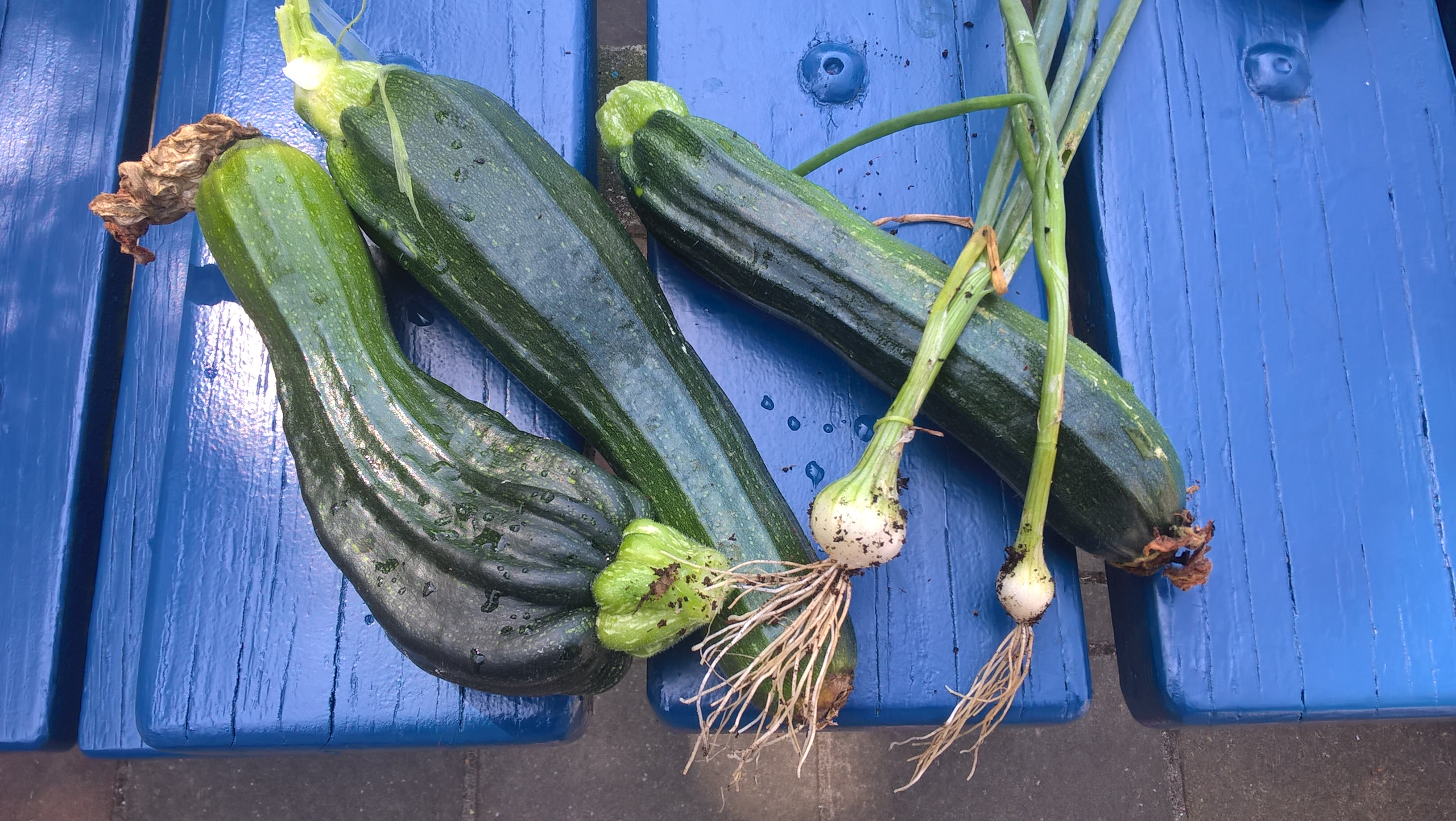 courgetteoogst